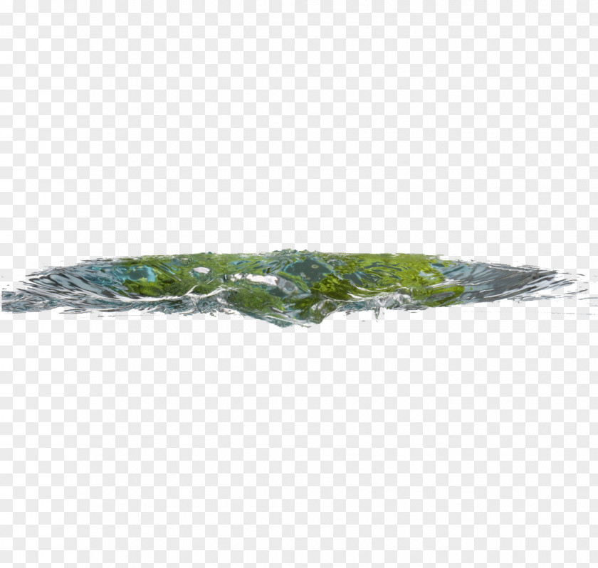 Lake Picture Material Green Leaf Pattern PNG