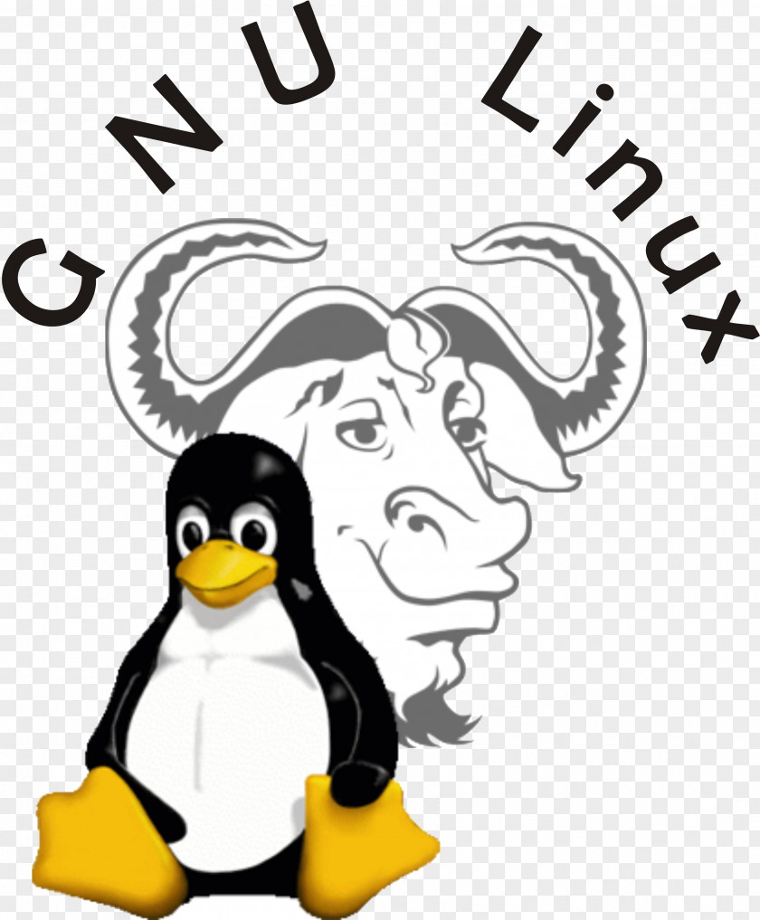 Linux Distribution Operating Systems GNU Kernel PNG