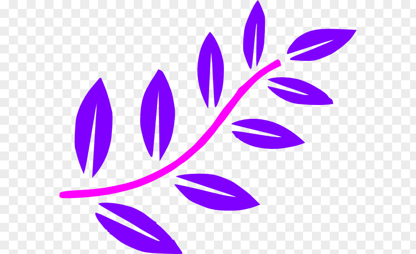Magenta Pedicel Violet Purple Lilac Leaf Plant PNG