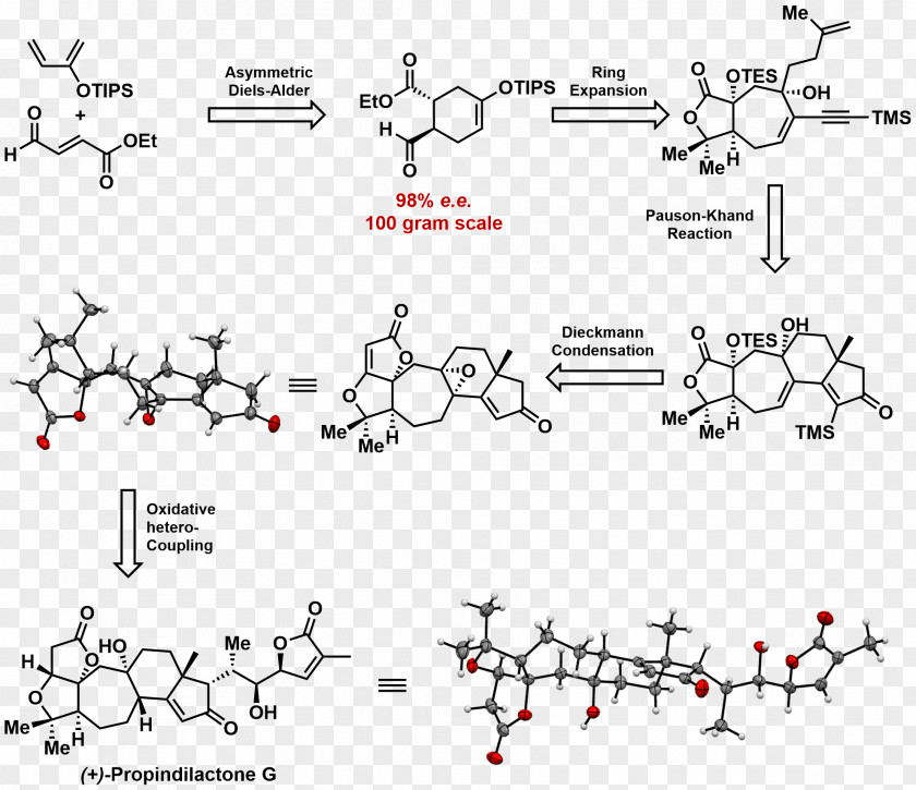 Min Pin Total Synthesis Peking University Natural Product Chemistry Chemical PNG