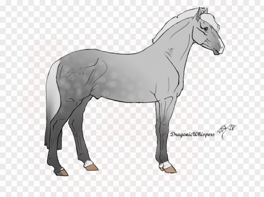 Mustang Mane Foal Bridle Stallion PNG