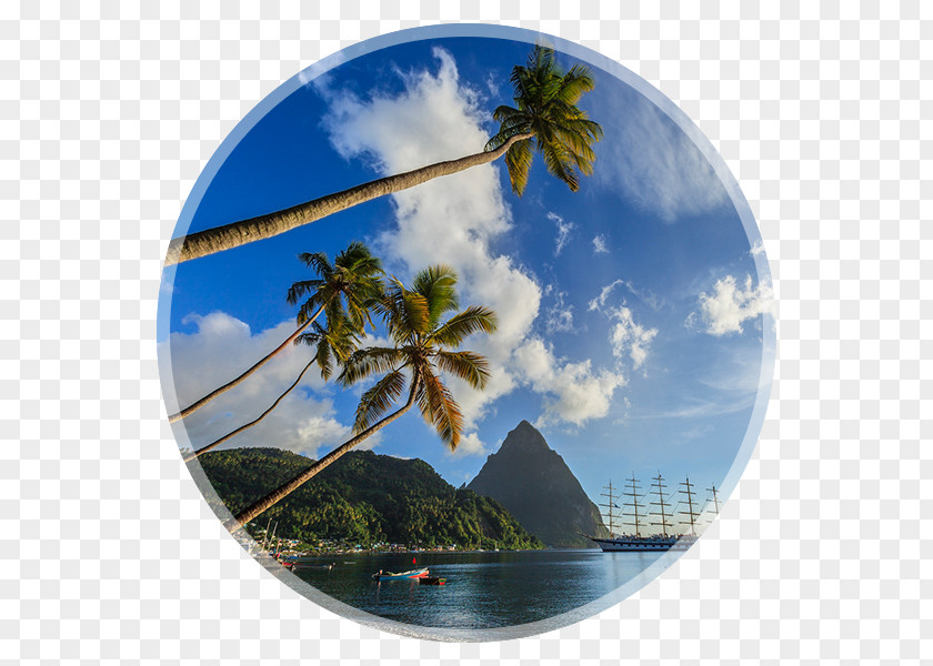 Turkish Airlines Pitons St. Lucia Royalty-free Stock Photography PNG