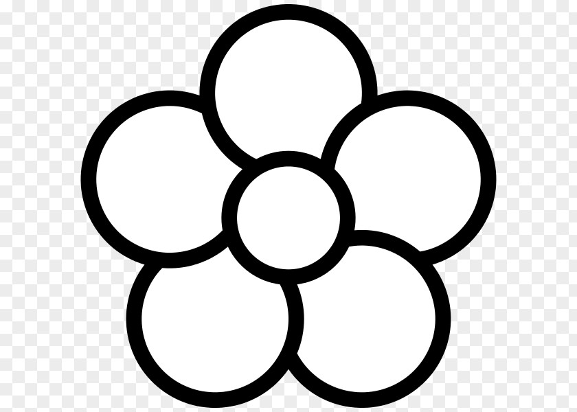 Flower Line Petal Clip Art PNG