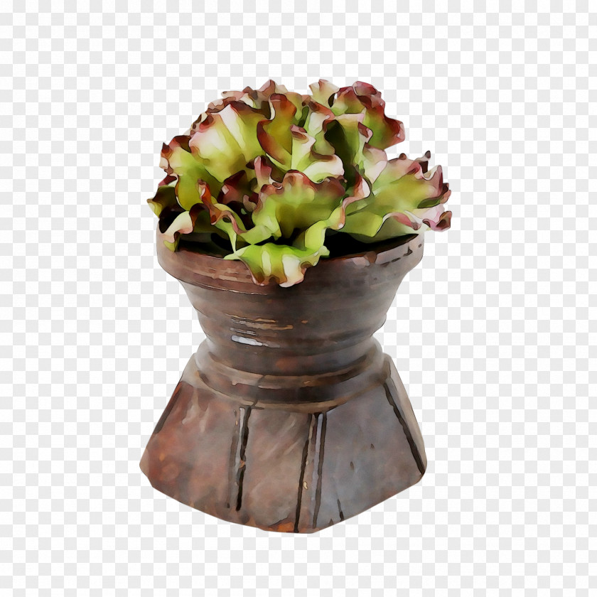 Flower PNG