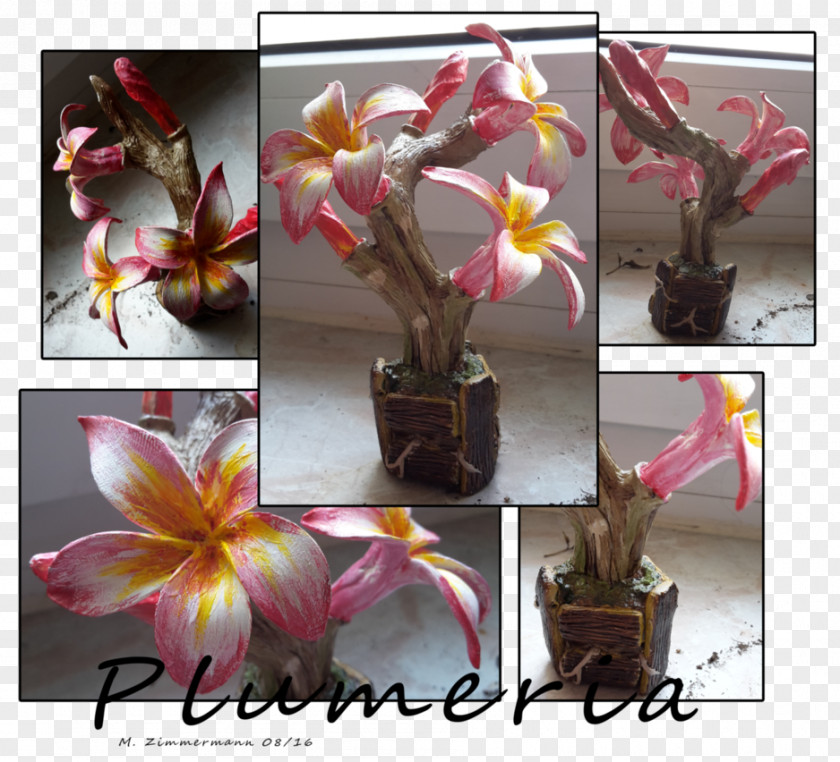 Plumeria Cut Flowers Plant Terrarium Clay PNG