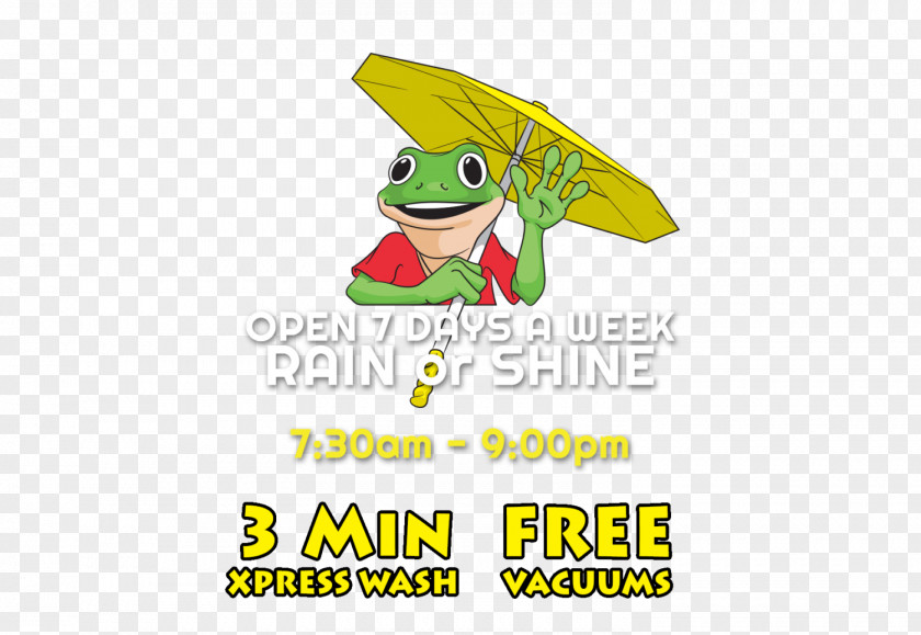 Rain Or Shine American Pride Car Wash Tree Frog Logo Express Illustration PNG
