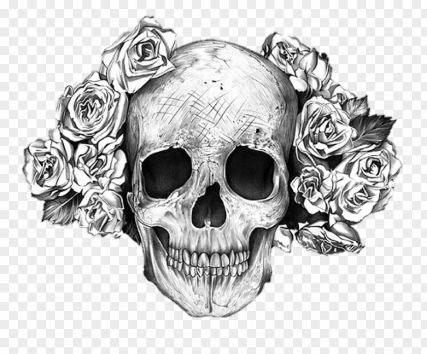 Skull Human Symbolism Rose Bone Art PNG