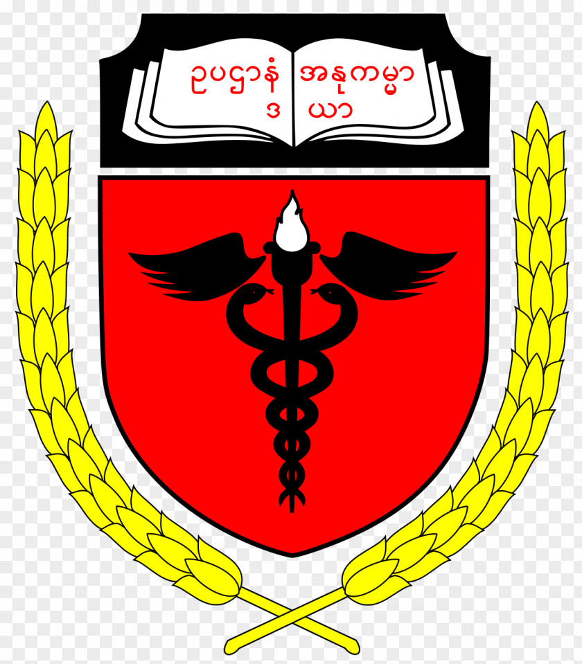 University Of Medicine, Magway Computer University, Pakokku PNG
