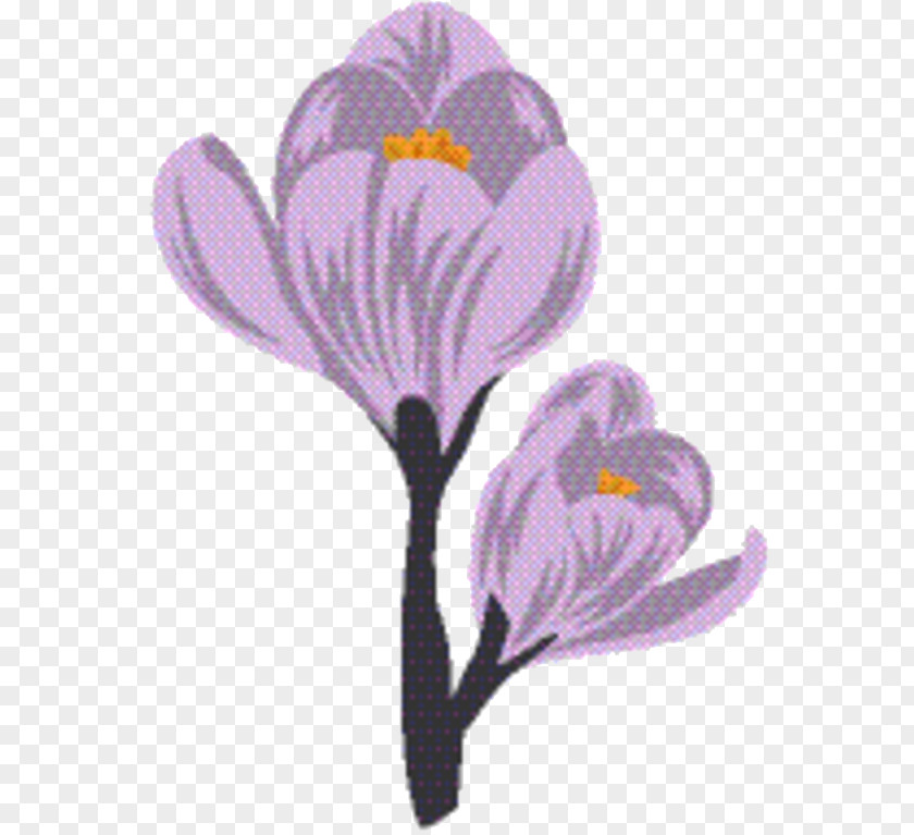 Violet Family Iris Saffron Flower PNG