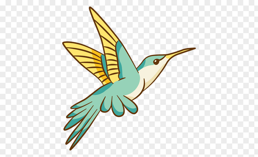 Bird Hummingbird Animation Graphic Design PNG