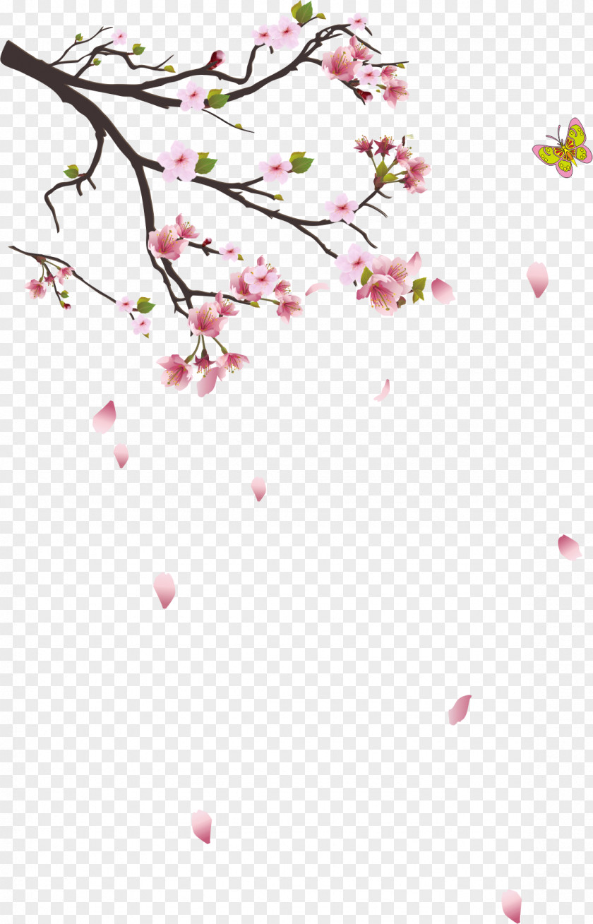 Cherry Tree Branches Branch PNG