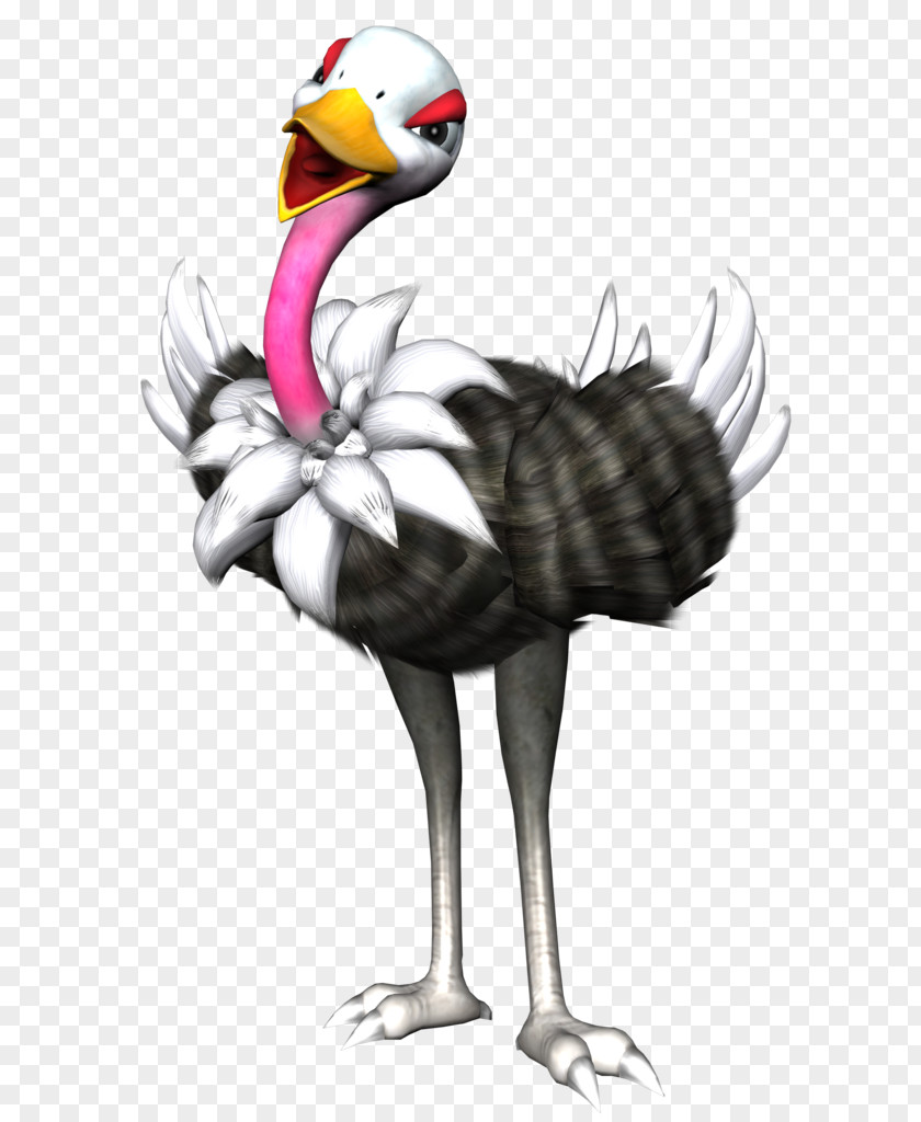 Cartoon Ostrich Common PNG