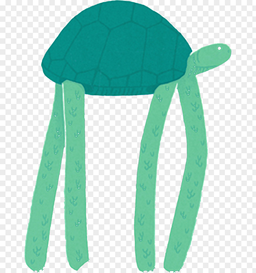 Cartoon Turtle Illustration PNG