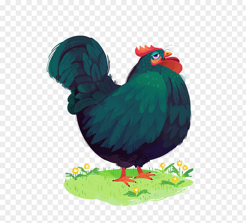 Chicken Rooster Art PNG