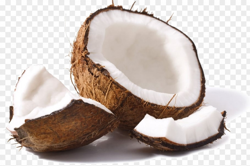 Coconut Lip Balm Oil Sunscreen Water PNG