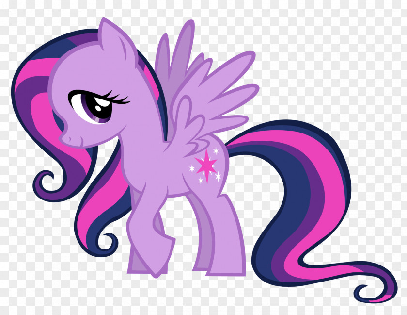 My Little Pony Rainbow Dash Twilight Sparkle Pinkie Pie Fluttershy PNG