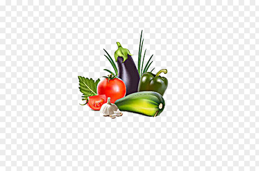 Tomato Eggplant Organic Food Vegetable Fruit Clip Art PNG