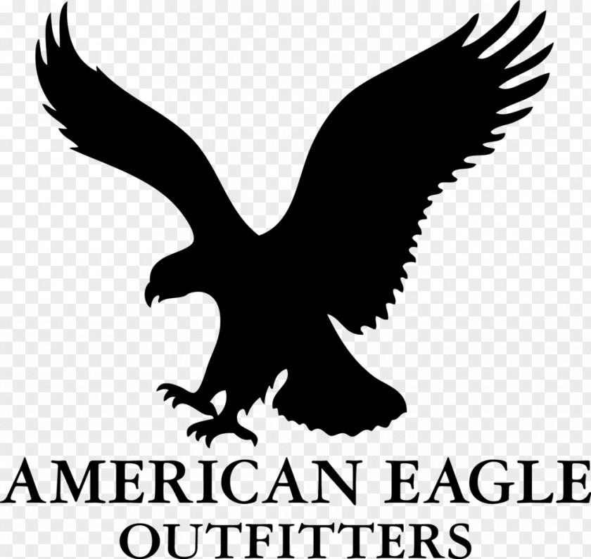 American Eagle Outfitters Retail Aerie Logo Jeans PNG