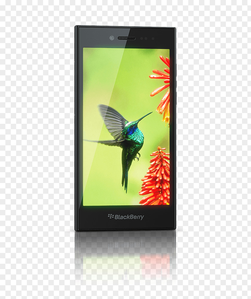 Blackberry BlackBerry Leap Smartphone Internet Comparison Shopping Website PNG