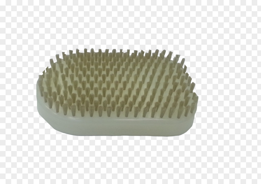 Bristle Brush Physical Therapy Nylon PNG
