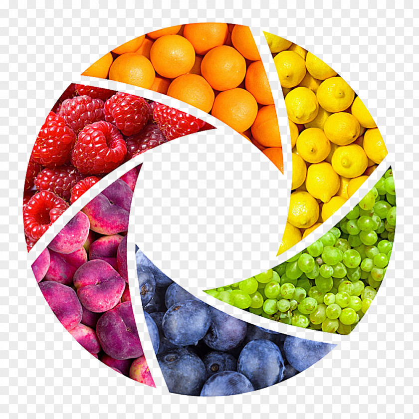 Camera Fruit Picture Material Color Wheel Photography PNG