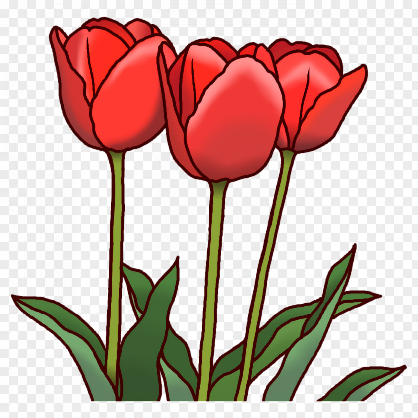 Floral Design PNG