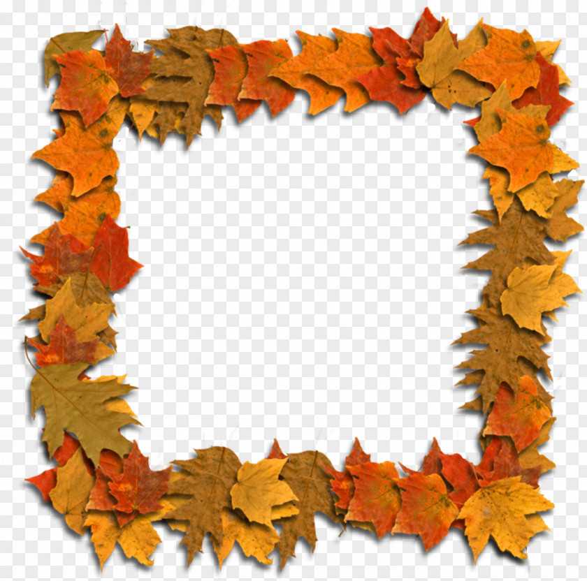 Little Frame Maple Leaf PNG