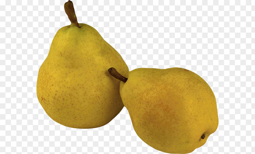 Pear Desktop Wallpaper Clip Art PNG