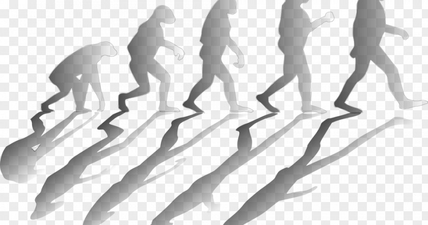 Social Media Human Evolution Evolutionary Psychology PNG