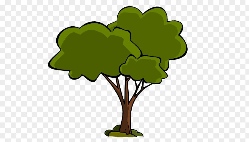 Canaan Fir Growth Rates Trees Clip Art Public Domain Illustration Image Tree PNG