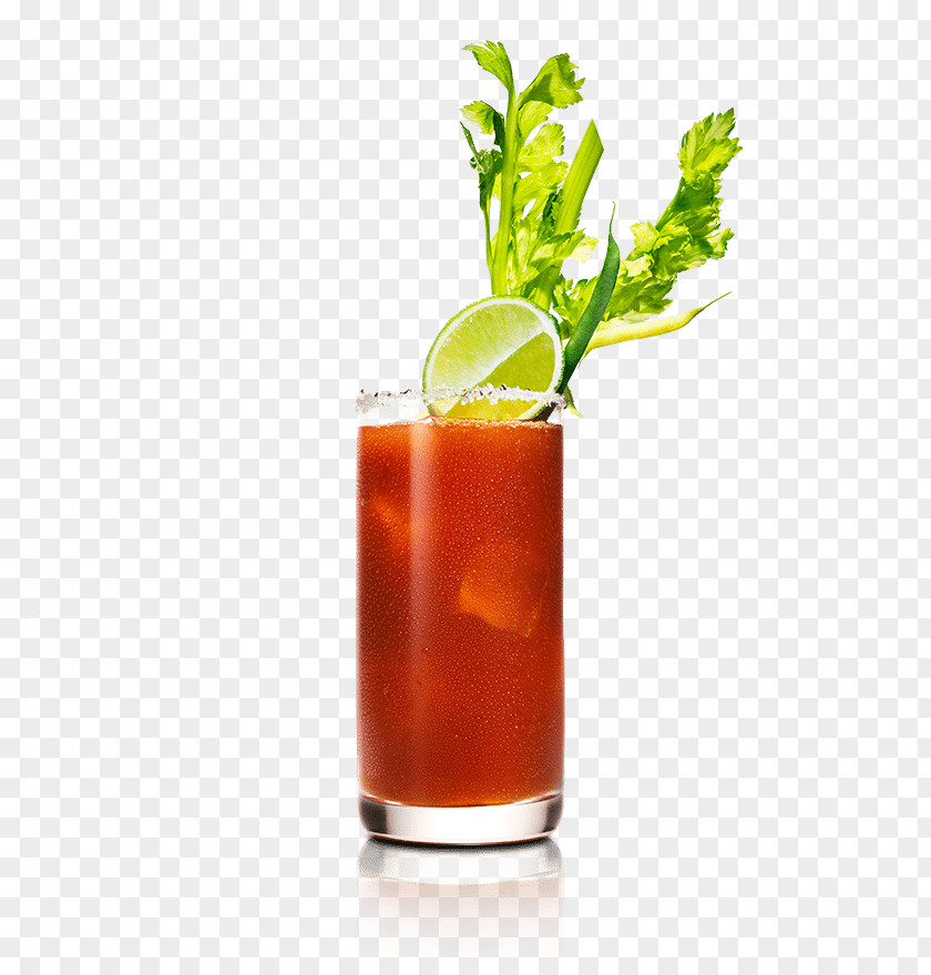 Cocktail Bloody Mary Garnish Sea Breeze Rum And Coke Mai Tai PNG