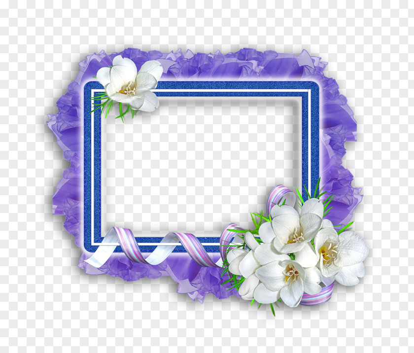 Felicitare Illustration Painting Floral Design Photography Picture Frames PNG