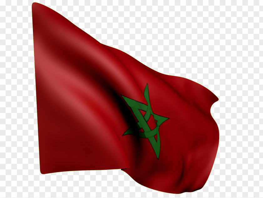 Flag Of Morocco Image PNG