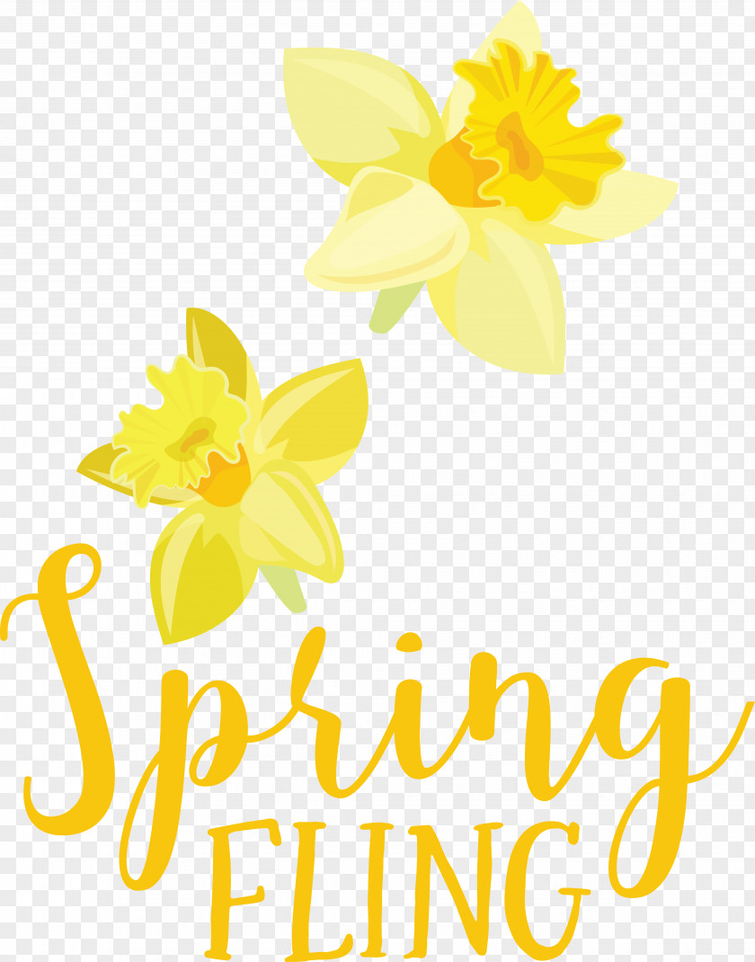 Floral Design PNG