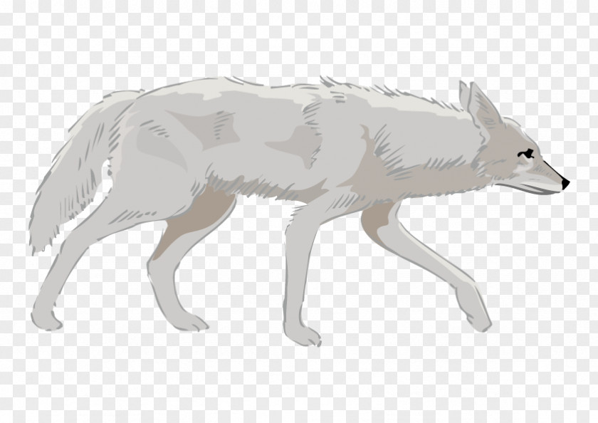 Vector Dogs German Shepherd Coyote Wolfdog PNG