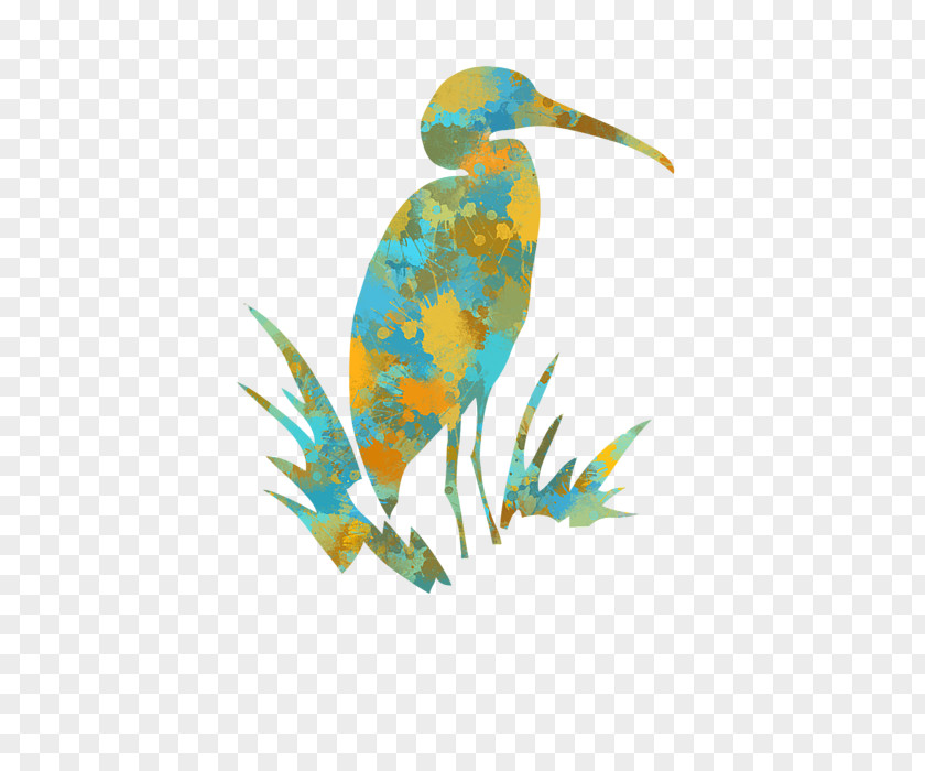 Heron Beak Teal Feather Fish PNG