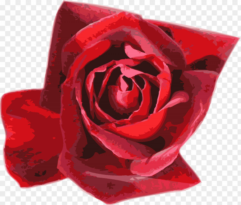 Rose Garden Roses Flower Sigma Lambda Alpha PNG