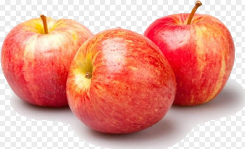 Apple Gala Crisp Fuji Cripps Pink PNG