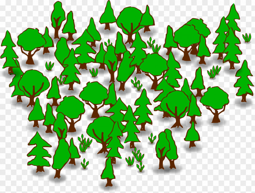 Forest Clip Art PNG