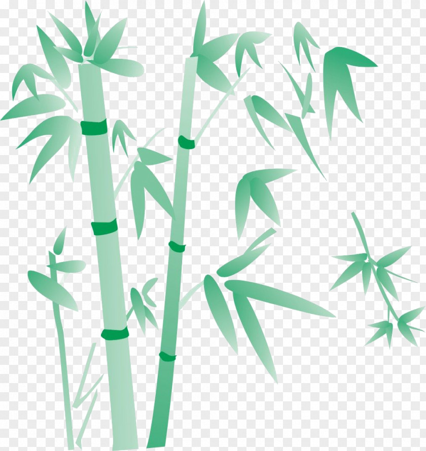 Hand Painted Bamboo Giant Panda Green Plant PNG