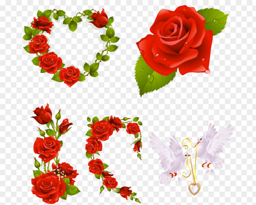 на прозрачном фоне Heart Cabbage Rose Clip Art PNG