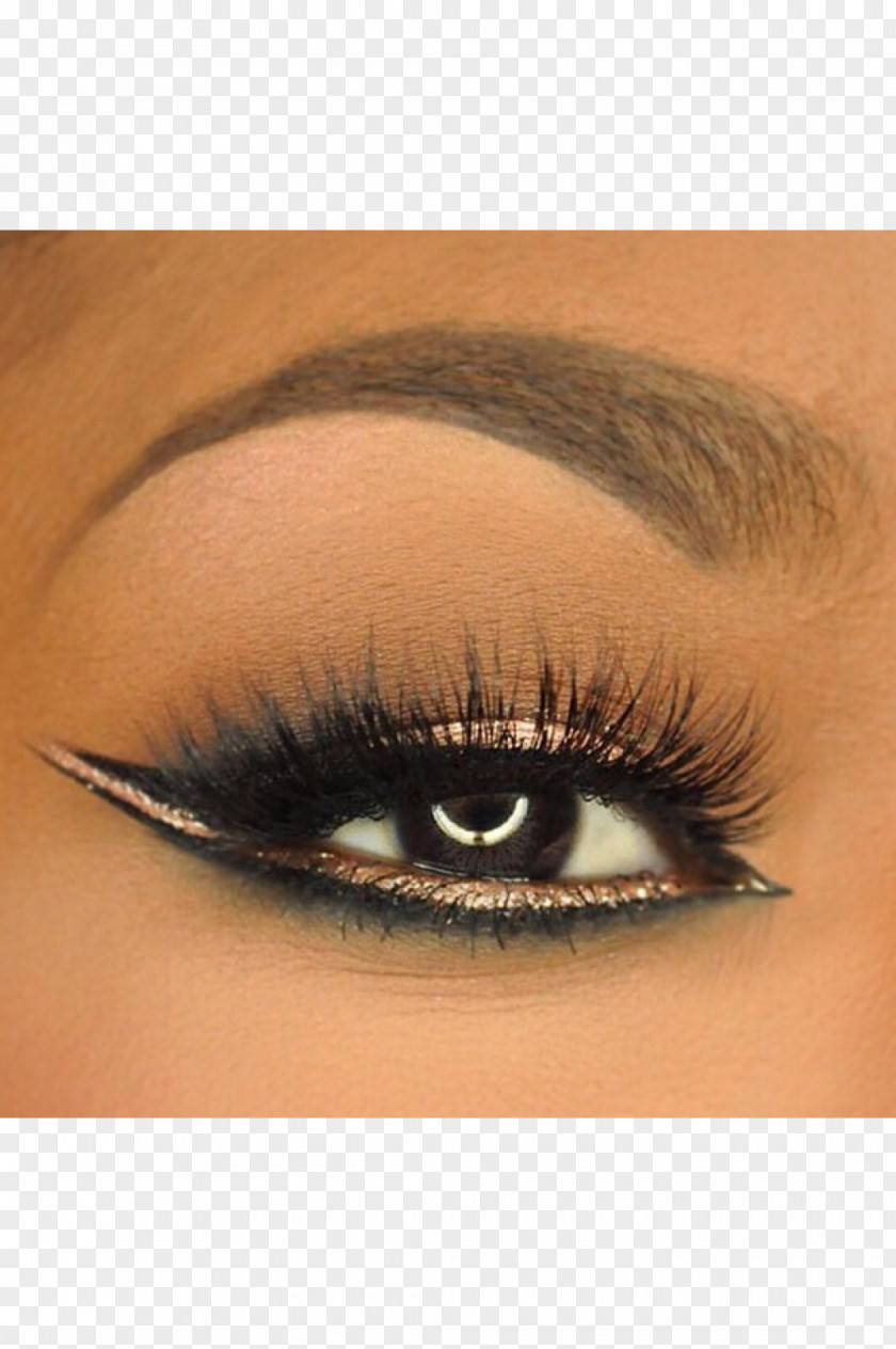 Lashes Eyelash Extensions Eye Shadow Liner Eyebrow PNG