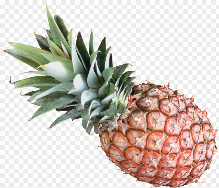 Pinapple Pineapple Fruit Auglis Vegetable PNG