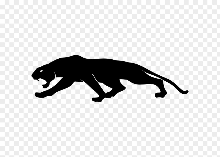 Print Shop Cat Bumper Sticker Leopard PNG