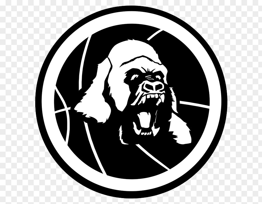 S.H.I.E.L.D. Logo Hydra PNG