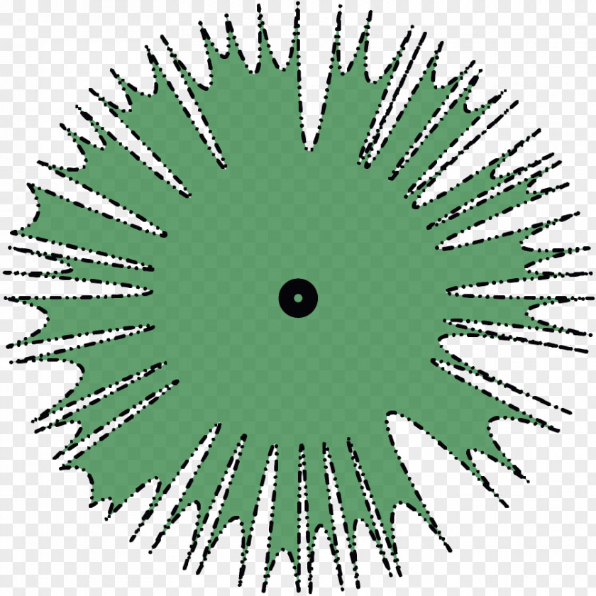 Tree Site Plan College Student Architecture Academic Degree PNG