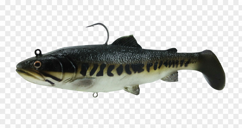 Trout Swimbait Rainbow Fishing Baits & Lures PNG