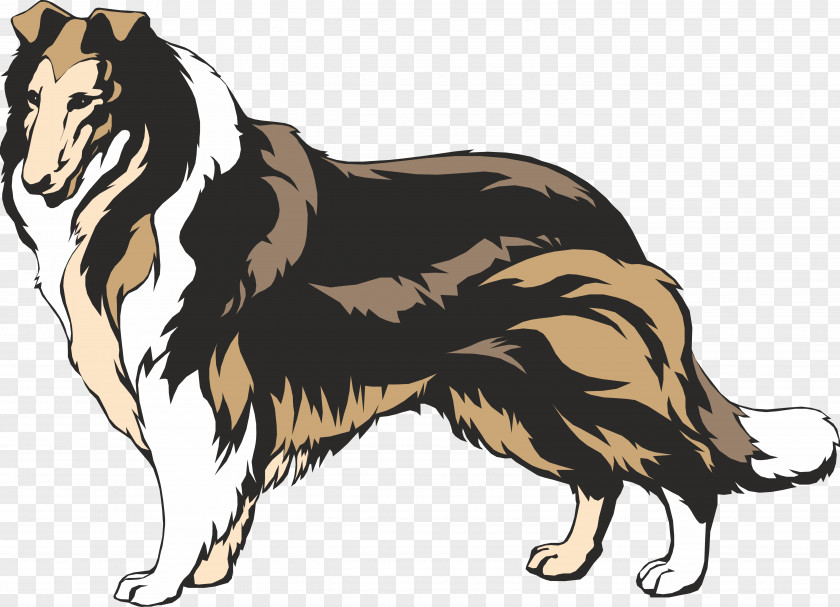 Tzu Vector Rough Collie Border Smooth Clip Art PNG