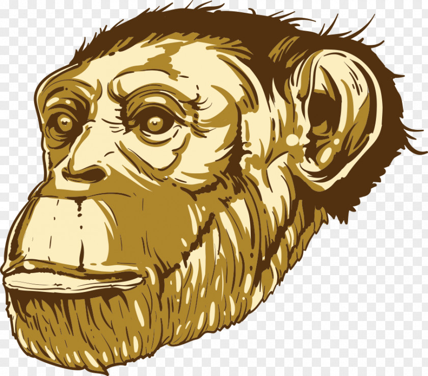 Vector Cartoon Gorilla Common Chimpanzee Ape PNG