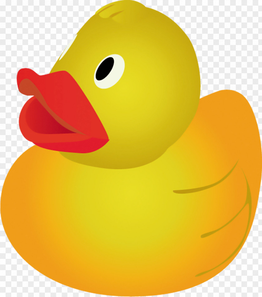 Child Drawing Duck PNG